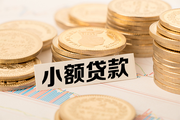 东莞上门小额贷款当天放款-东莞上门哪里可以信用贷款-东莞上门民间借贷